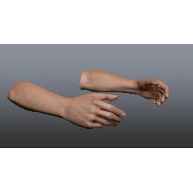 Rigged and Animated Hands (Male)